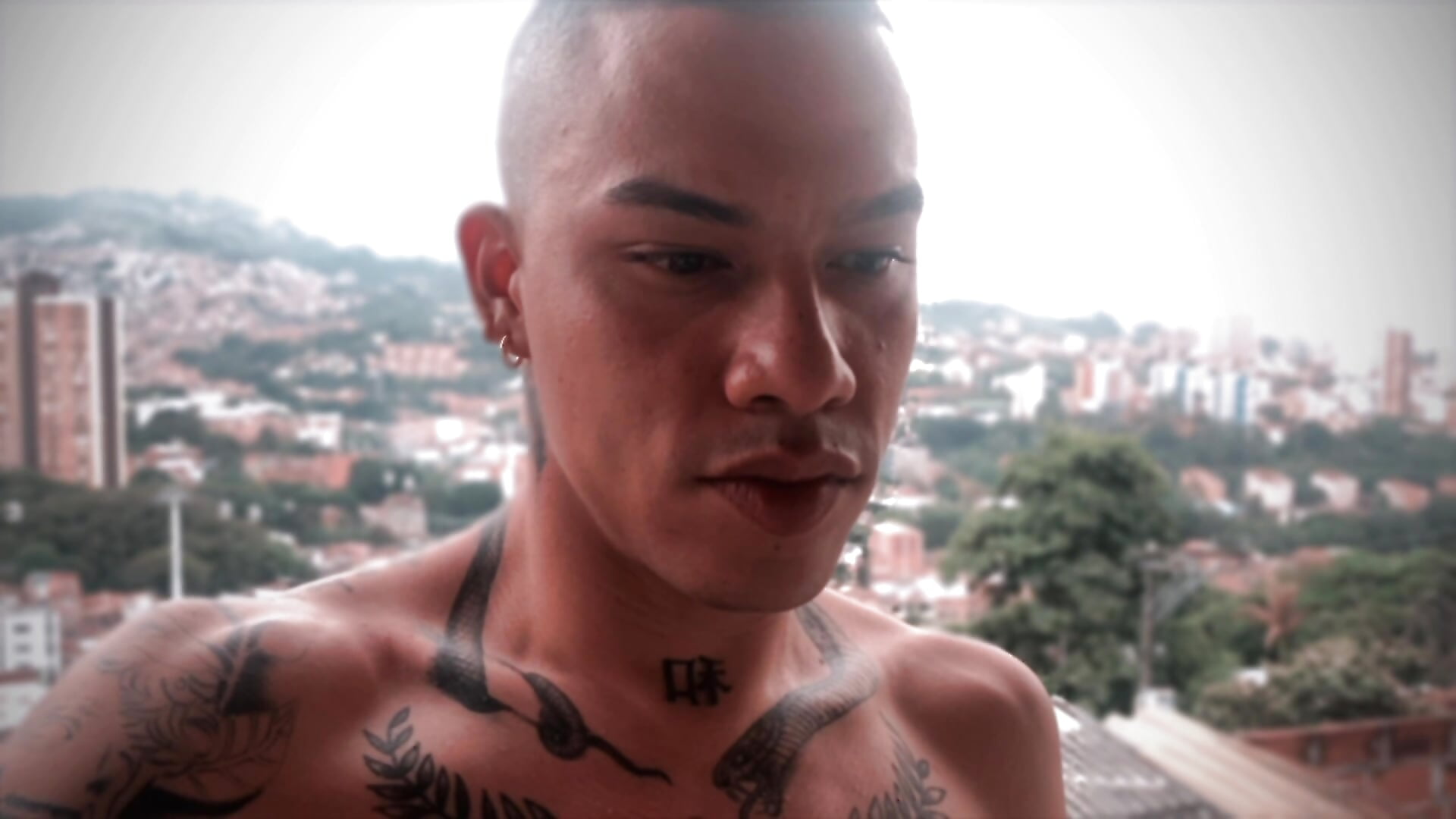 1743460776042774 - video by AlphaMasterXxx cam model