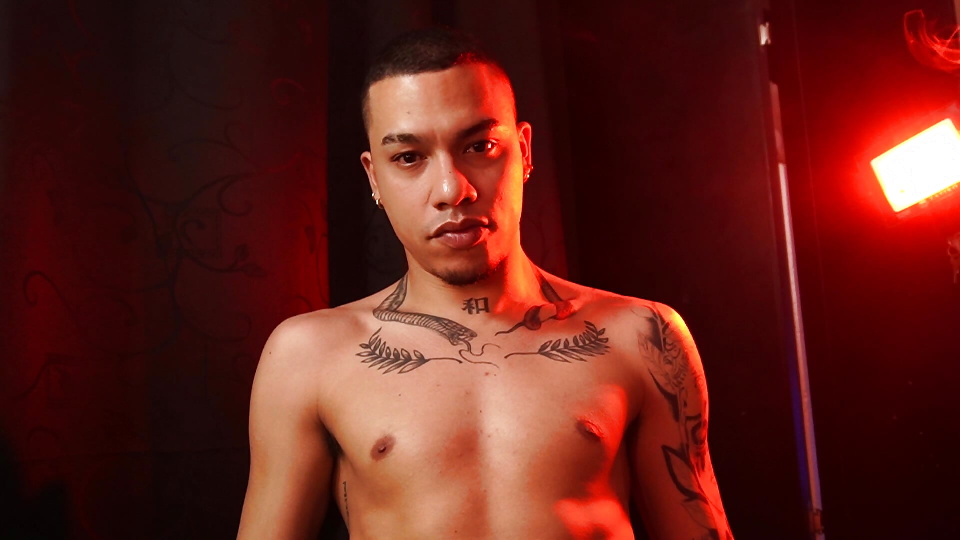 teaser - video by AlphaMasterXxx cam model