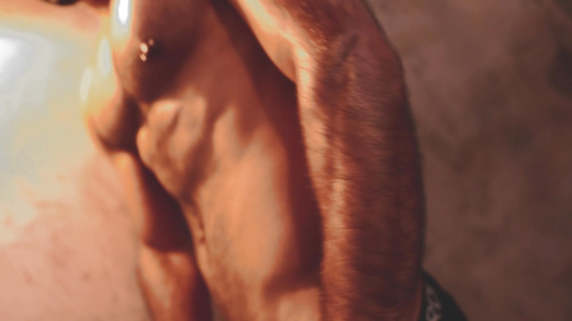 Bear Erotic Men - vidéo du modèle de showcams emilio_brandon