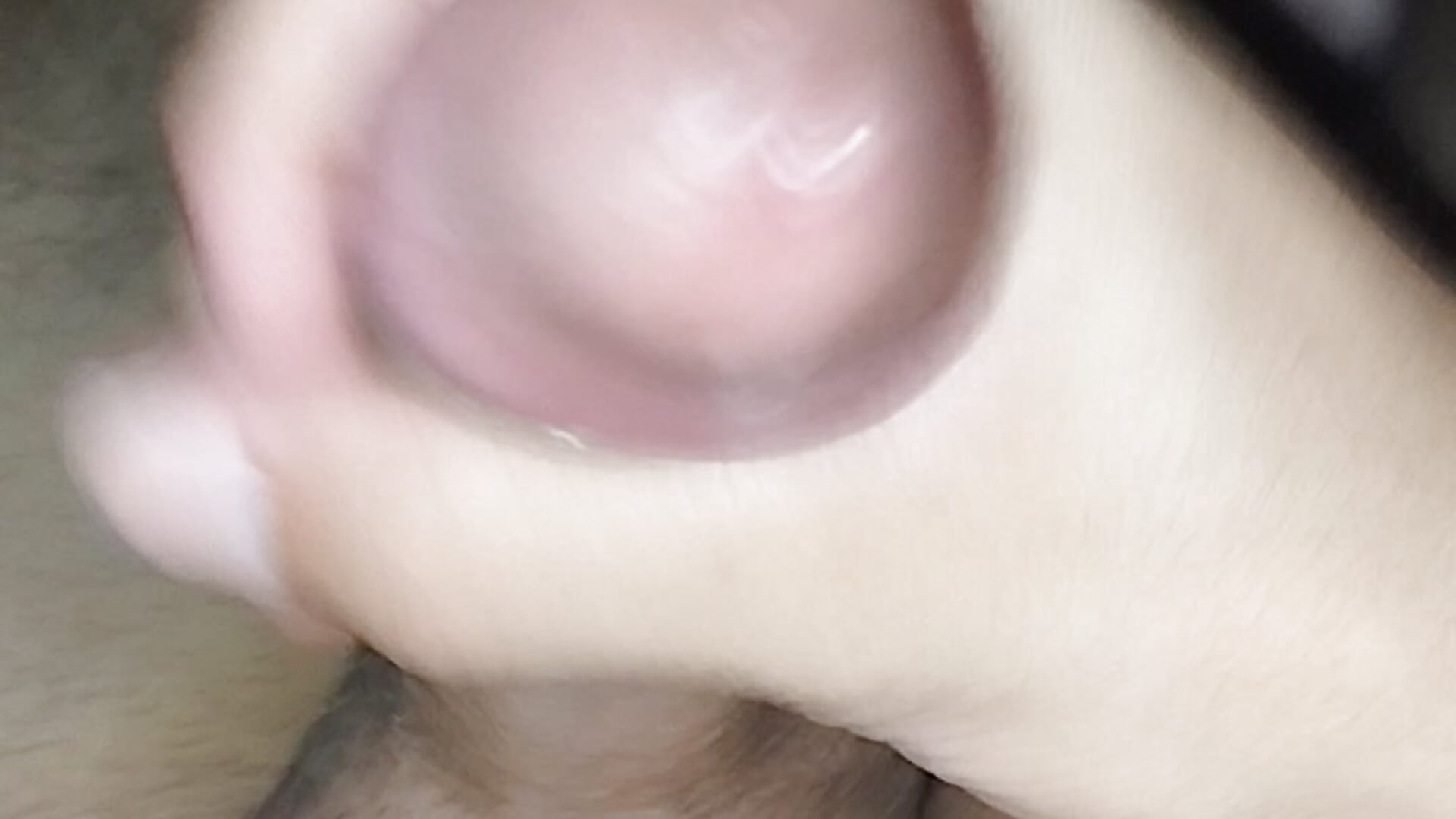 1000058312 - video by safad_00t cam model