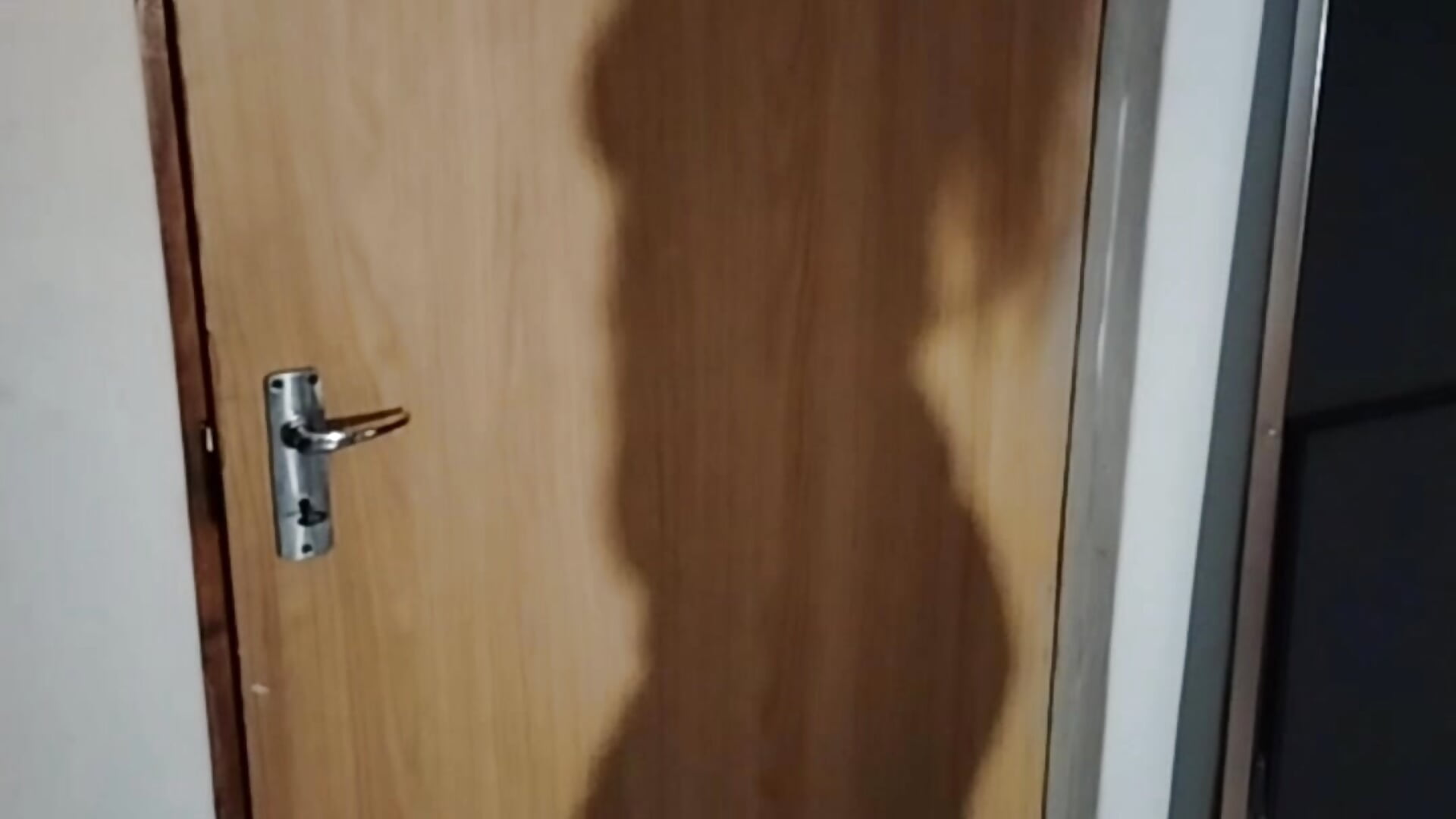 shadow tease - ক্যাম মডেল Hollbunny_Voxi-এর ভিডিও