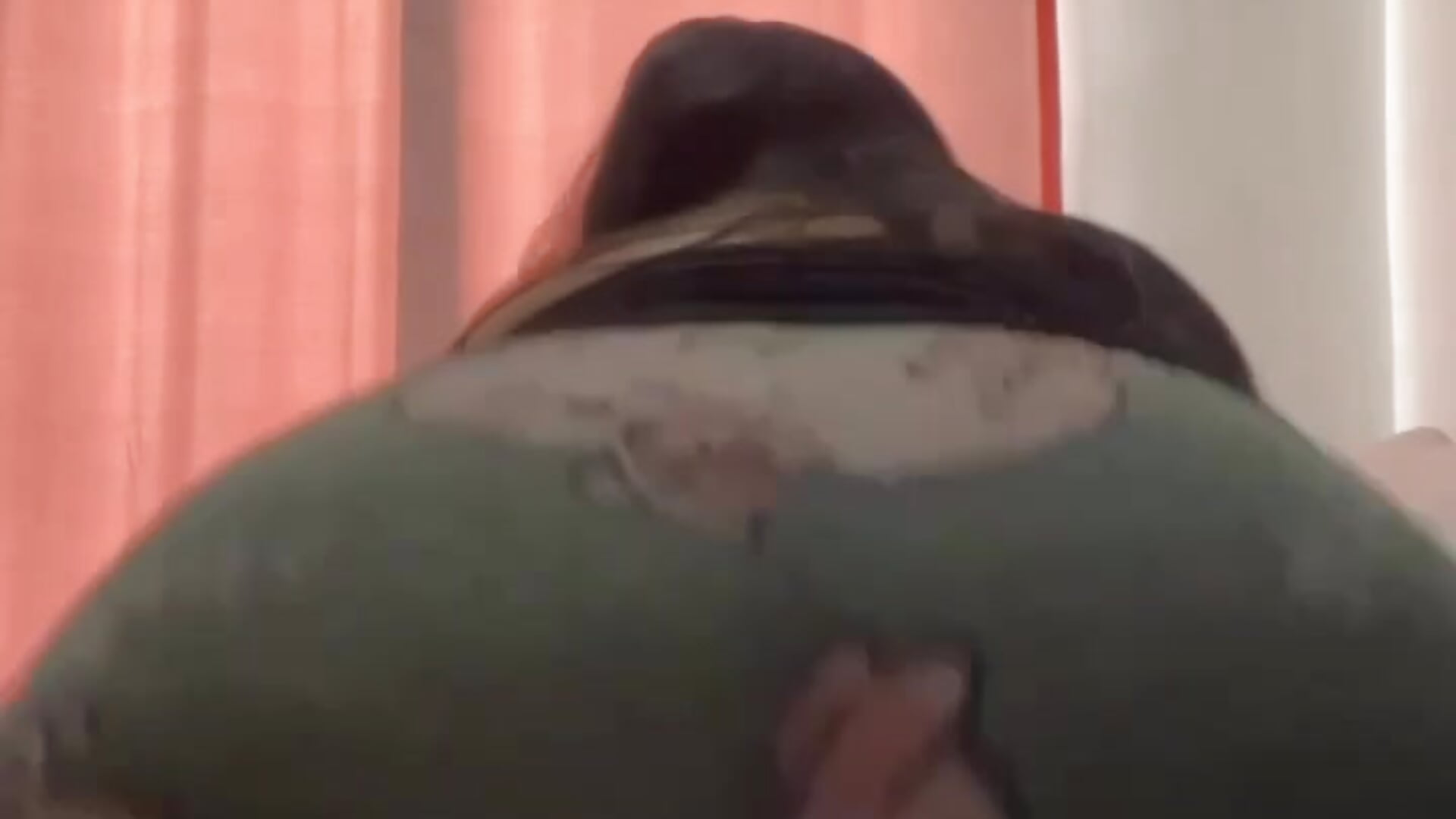 Gatita - video by Georgia_Escobar cam model