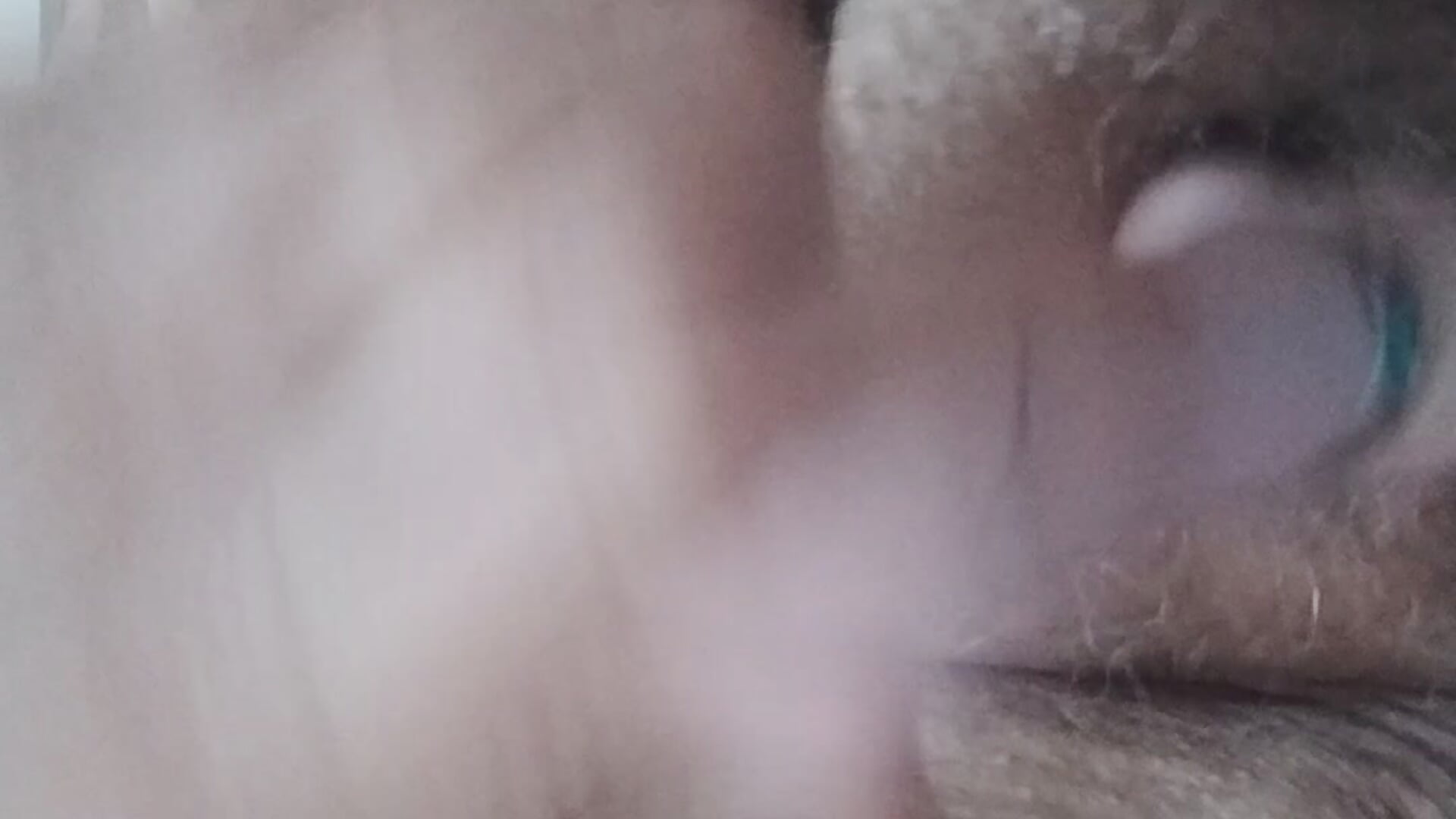 As Bellas enfiando o pau de borracha uma na outra até gozar - video by Belladama61 cam model