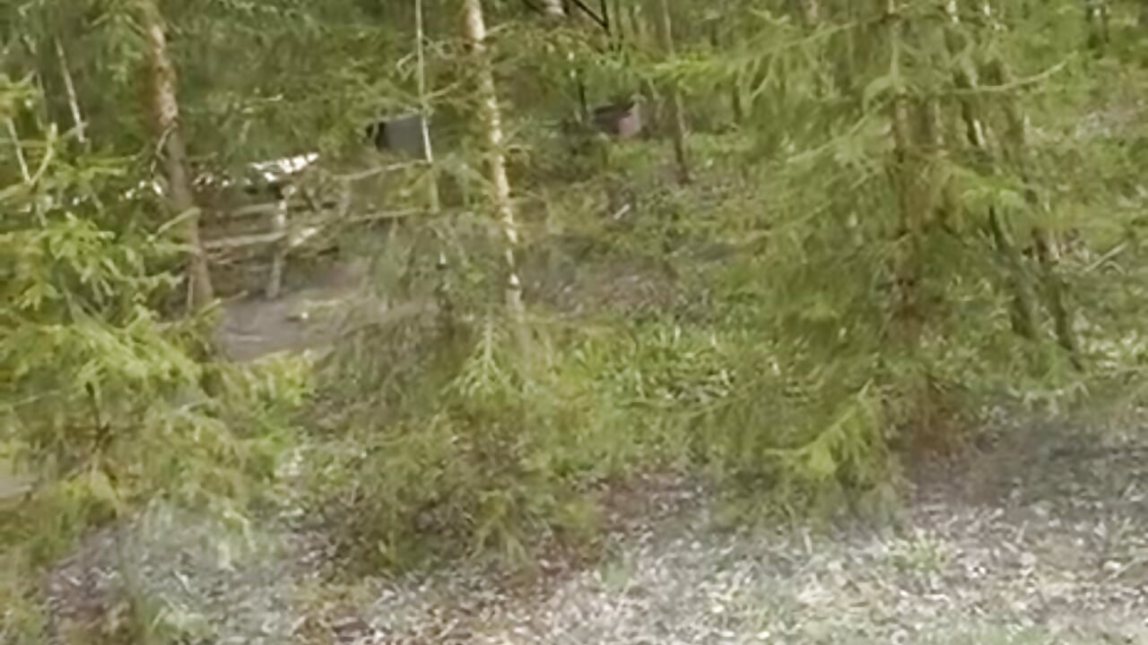 🔥Hot sex with a view of the forest🔞 – video af milk-chocolate- cam-model