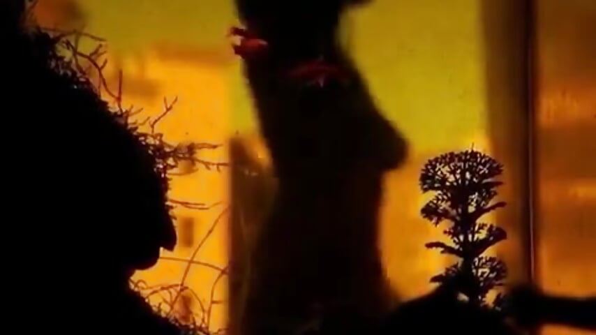 Baila Conmigo - video của người mẫu cam maria_ribeiro