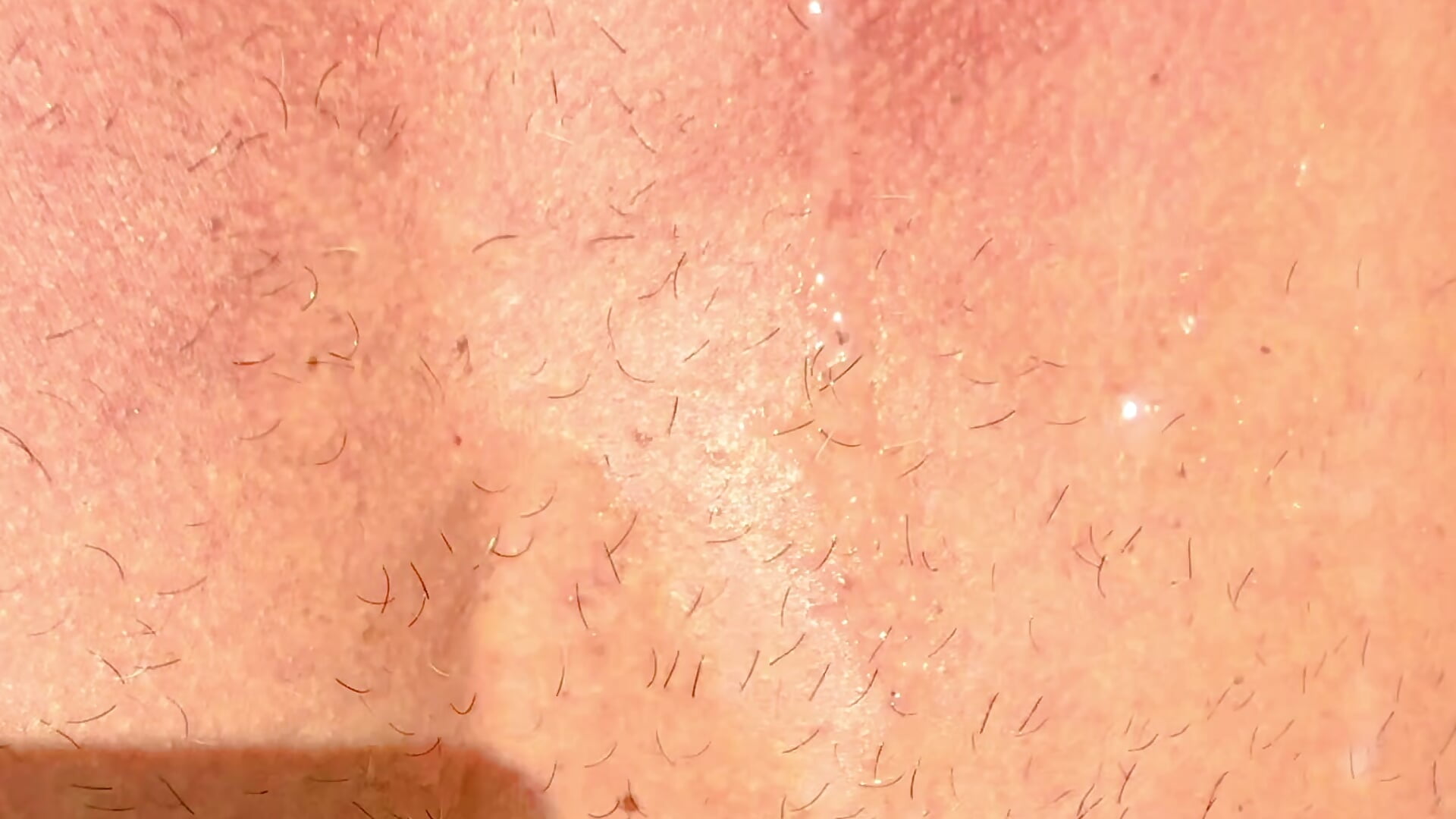 Milk after sex 💦💦💦 - video av CasadoLutadorBigStuds cam model