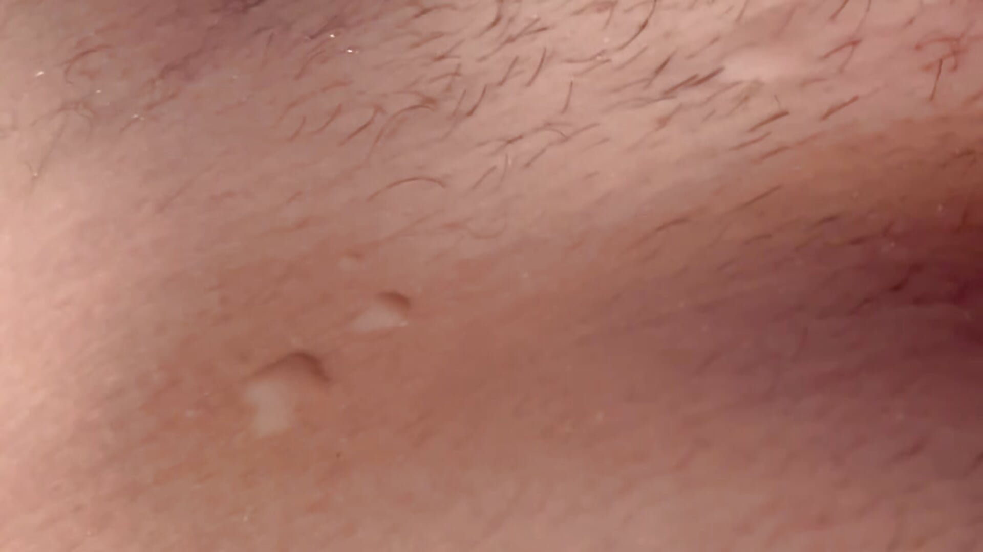 my cum - video by Fappatore_Nato05 cam model