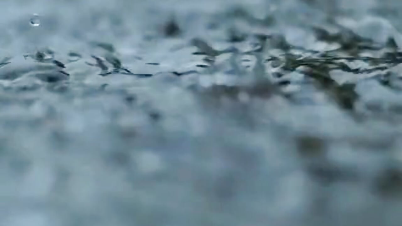 Phong Hoa Tuyết Nguyệt - 視頻由 -BIASAIGON- 主播提供