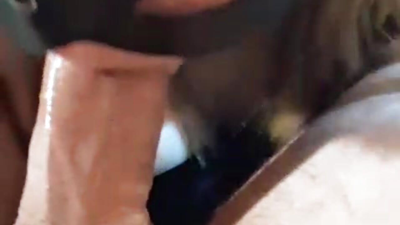 Blowjob💌👄👅 - video by oSensii cam model