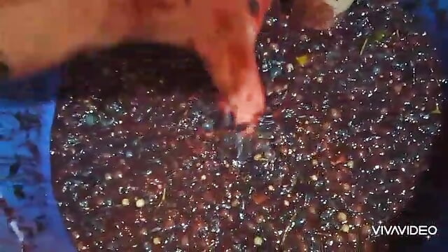 😁😆🫠 Seson - video by oSensii cam model