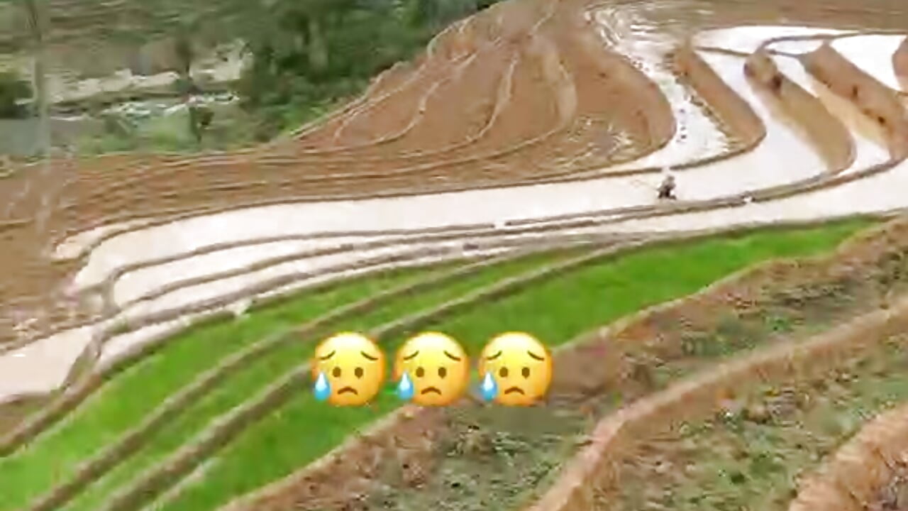 On the field - video by EllyBaby20 cam model