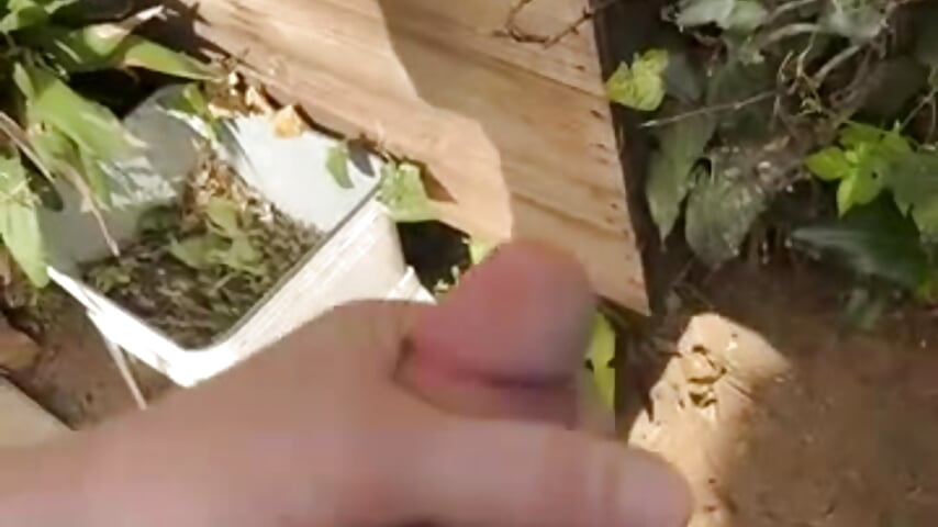 Cumshot on front yard - 66Retro99 adlı kamera modelinin videosu