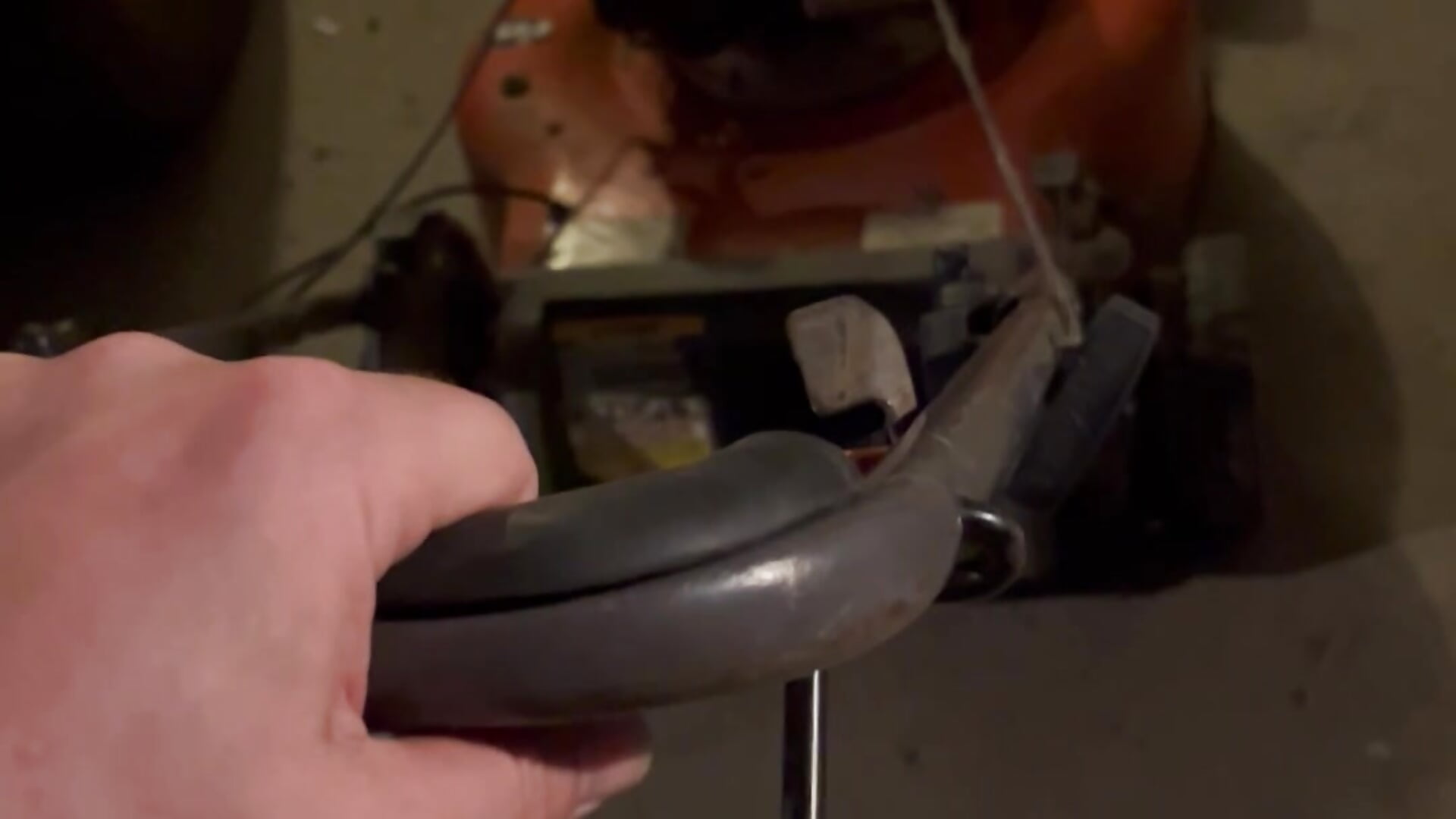 Grass - video by yes_969 cam model