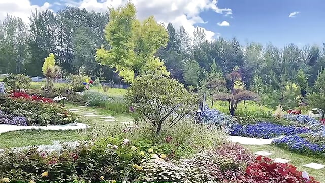 向往的风景 - video by muxin_love cam model