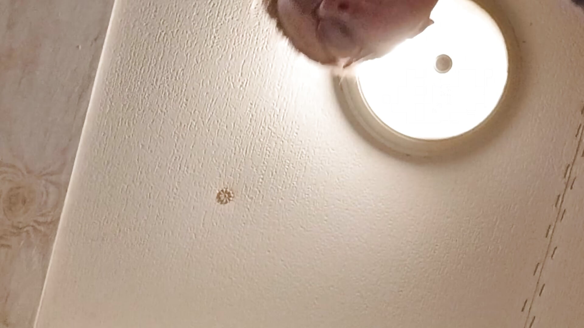 The view down here
