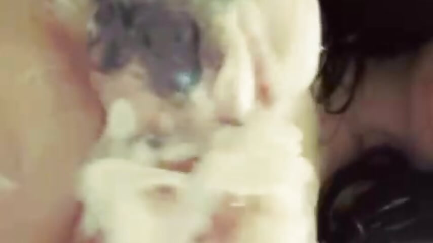 Big boobs playing in the shower - video by AbbyPearll cam model