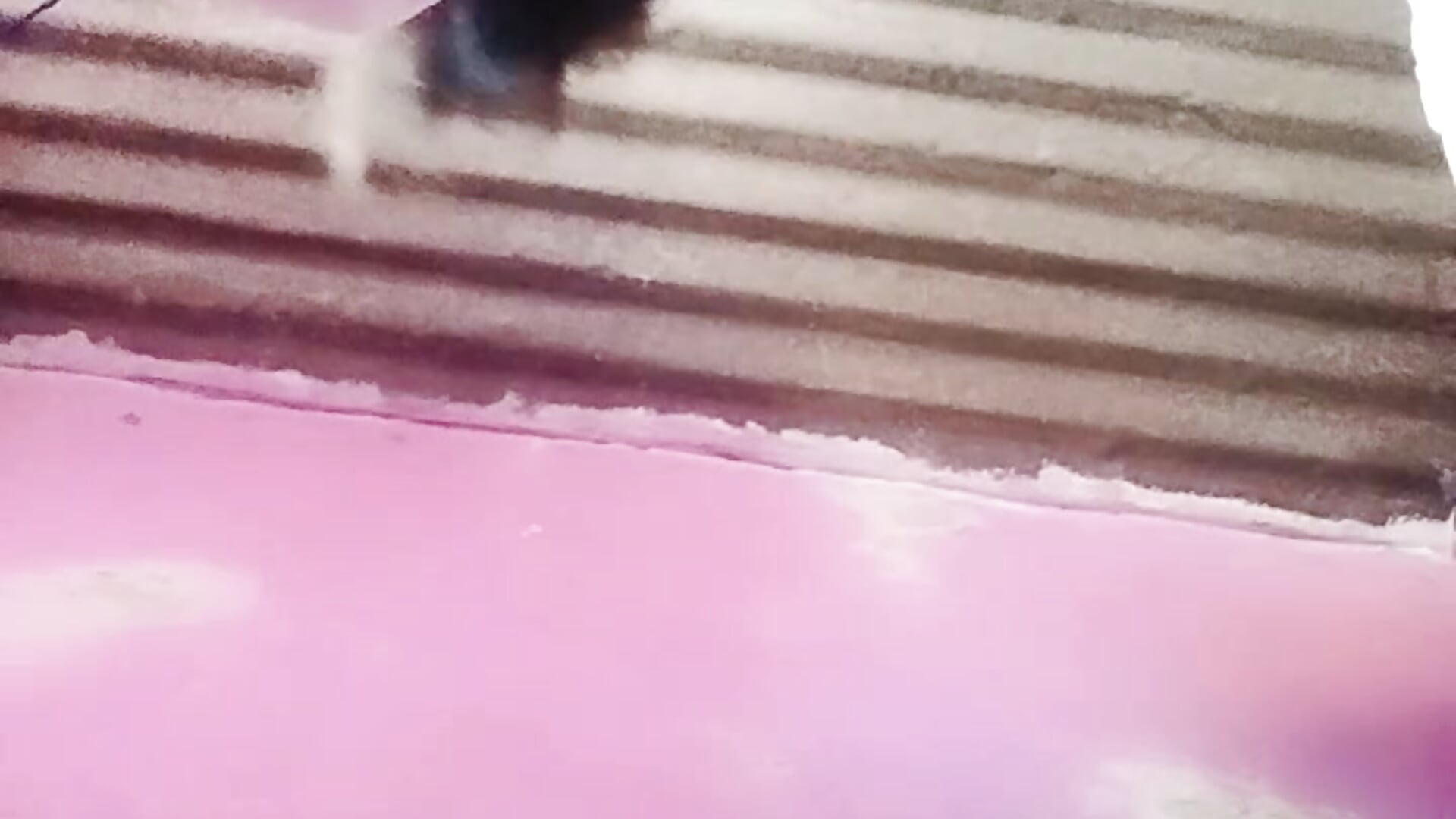 práctica de sentadillas - video by Jenniifersha cam model