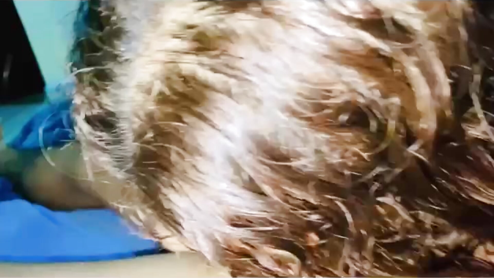 Chupando verga - video by Erick009k cam model