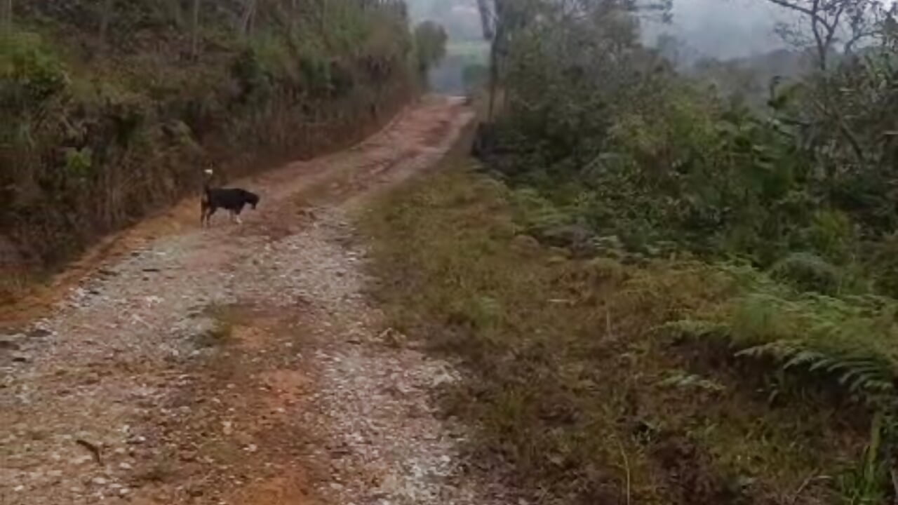 Love and life ❤️ - فيديو من Paradisse_ موديل الكام