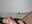 Very hot masturbation and kissing - video by Alphamuscle001 cam model