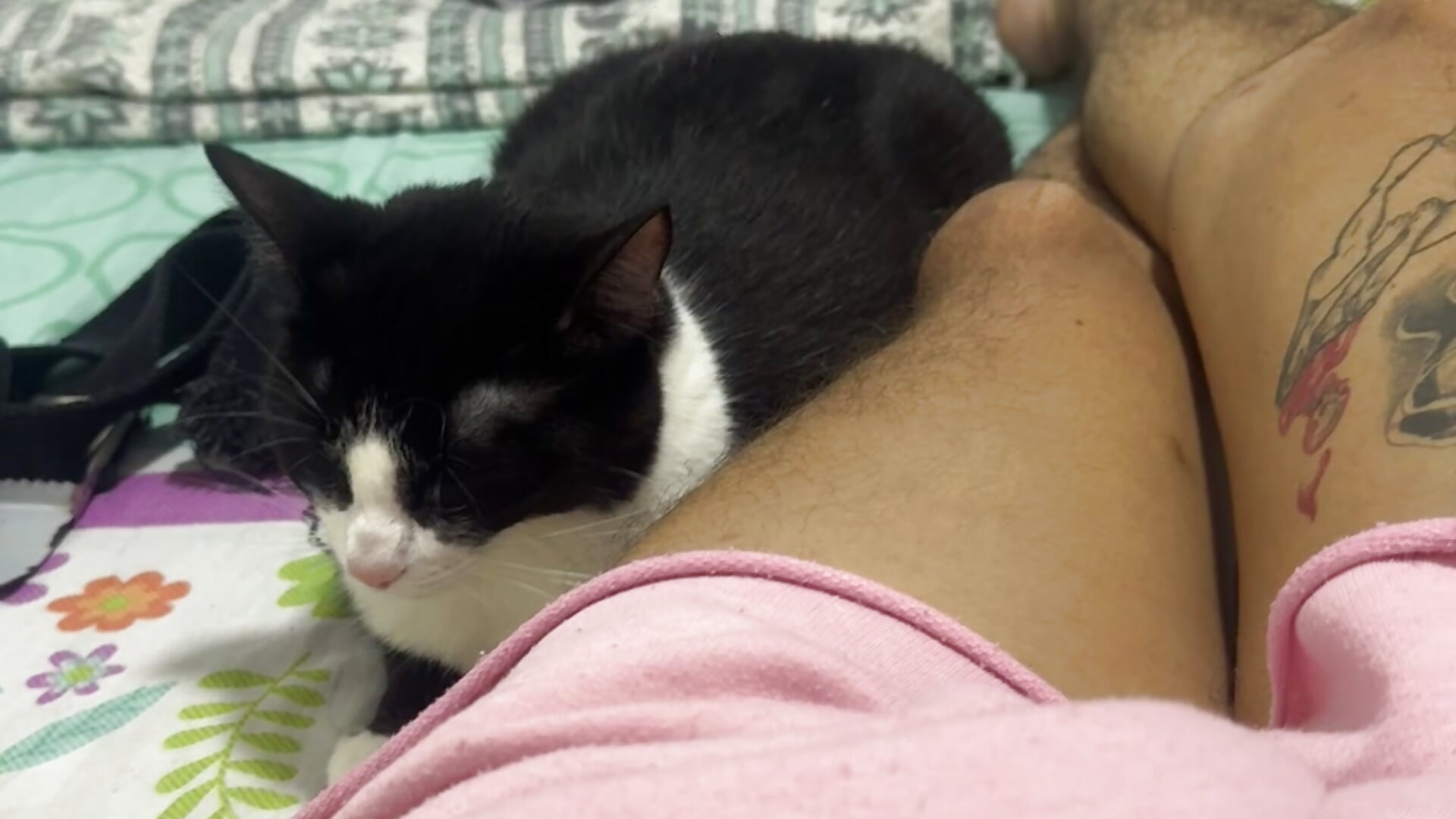 60AE123D-E093-4F56-B0A4-04B7D36876BB - video LANCELO28HOT kameramallilta