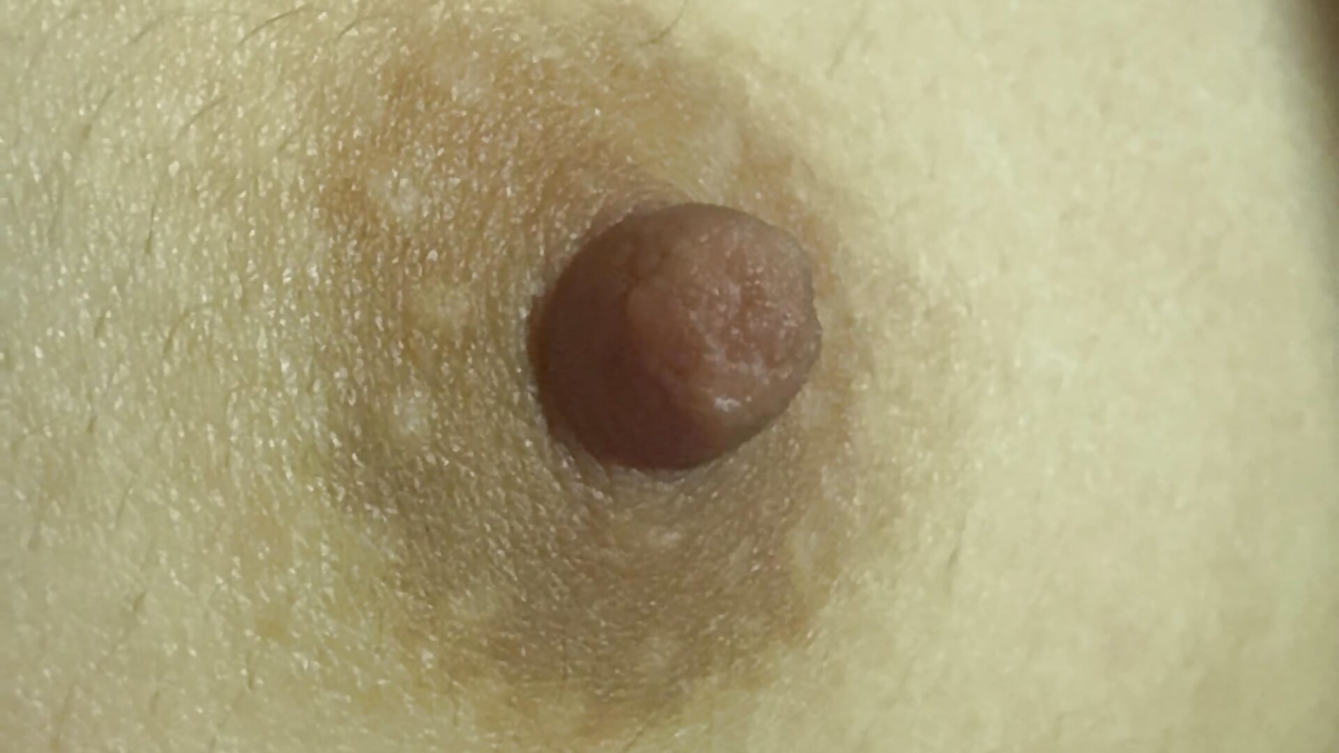 IMG_0314.mov - 視頻由 jingjing005 主播提供