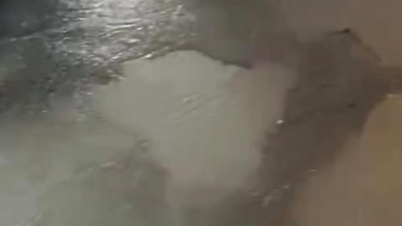 🌊 – video modela na kameri Zami_Escobar_of