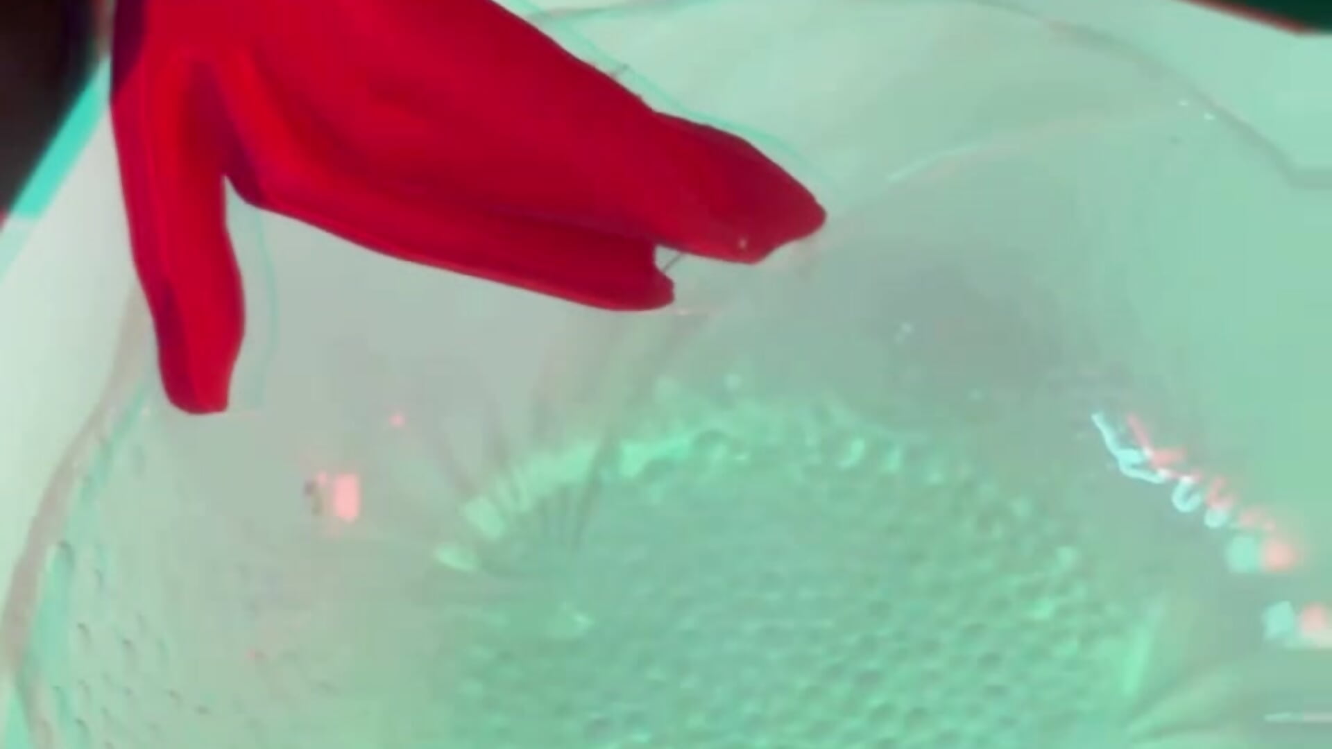 halloween😈 - HelenBeler 캠 모델의 동영상