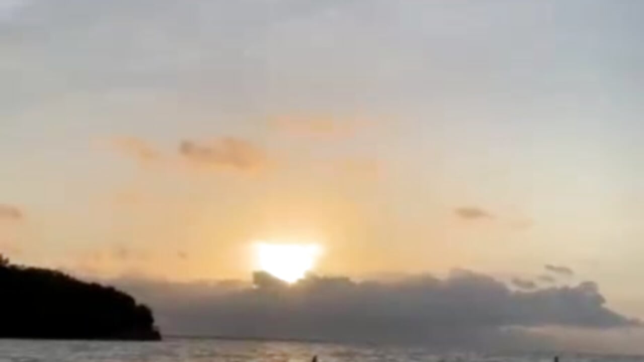 Lynx swimming - video by lynx_sun cam model