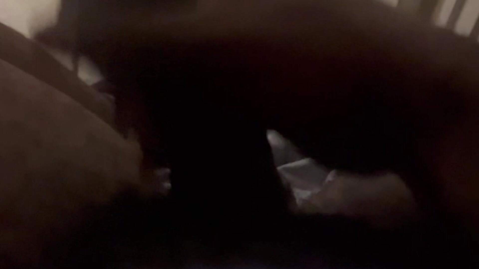 IMG_6074 - video by blackking1500 cam model