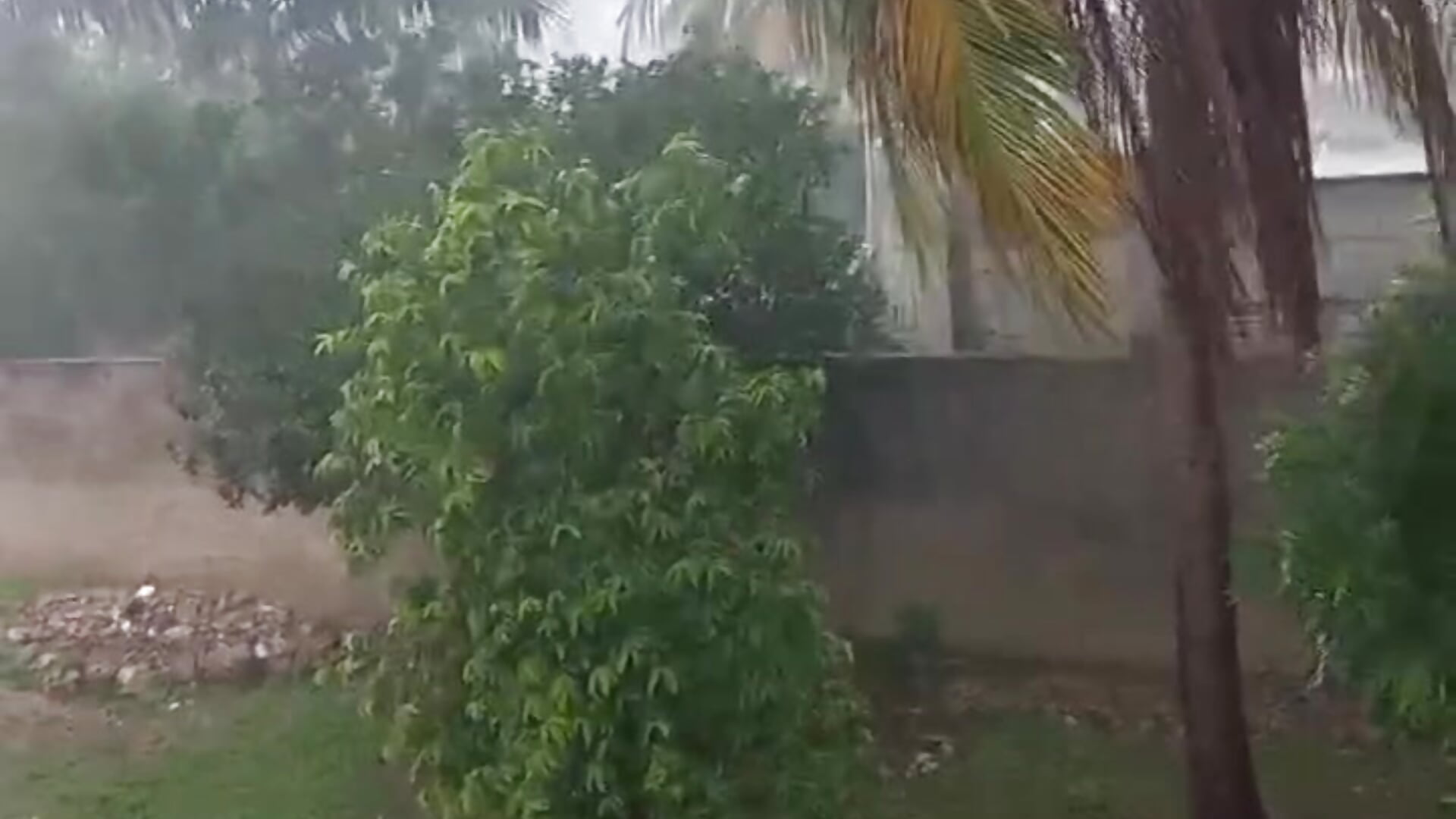 VID-20251005-WA0058 - video by Roxiisecretary cam model