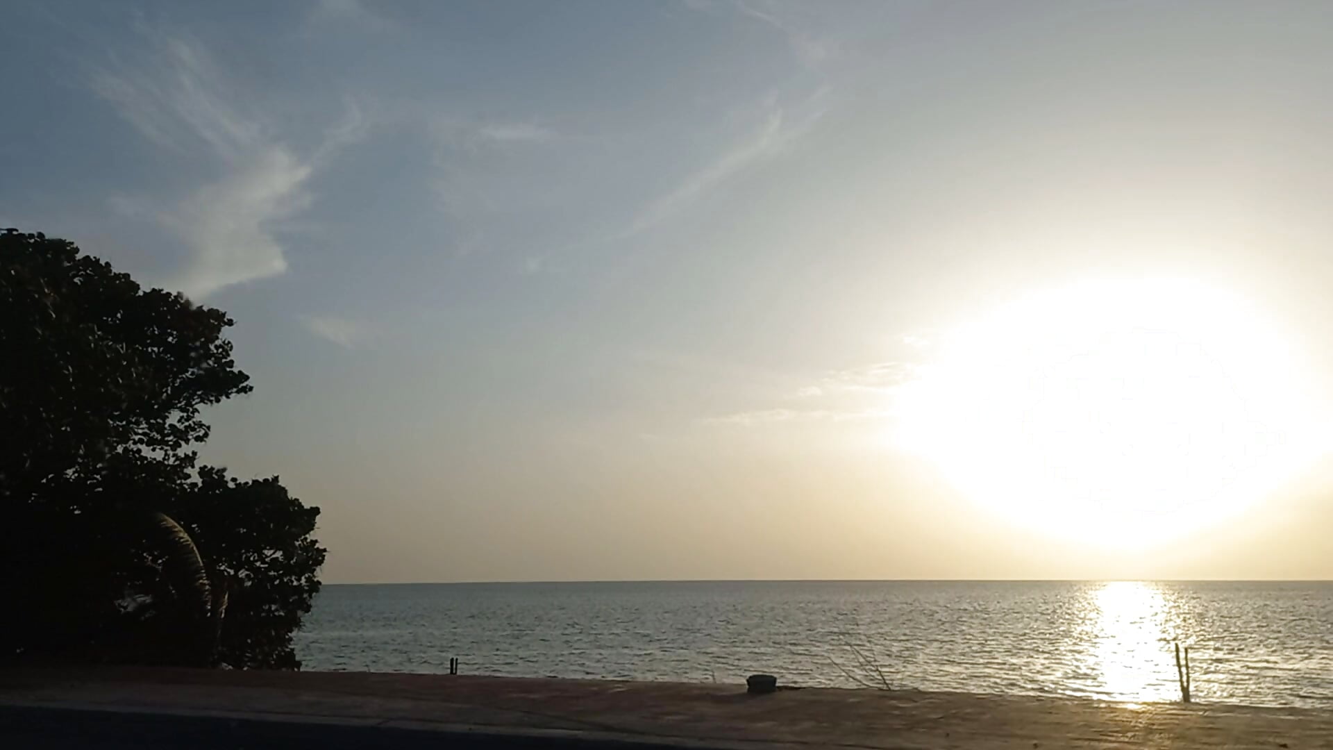 20250703_181335 - video by Roxiisecretary cam model