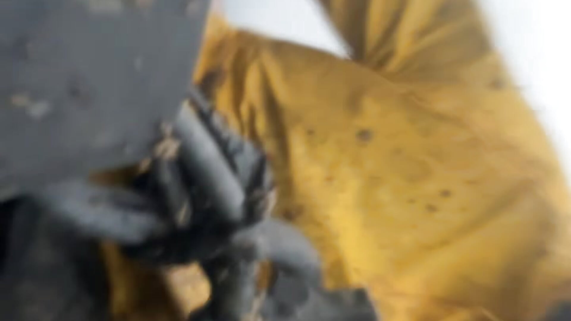 D6B4C22F-C960-4BAE-B035-0B54BA5889F0.mov - video by billhungwell cam model