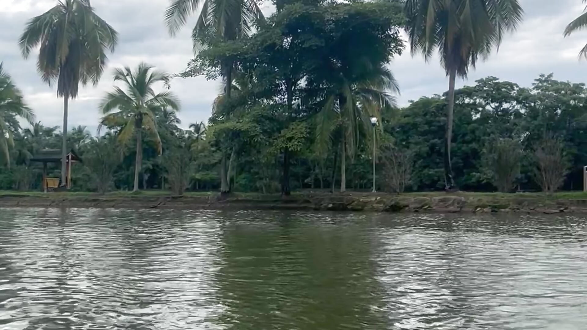 IMG_6191 - video by TuprofeJose cam model