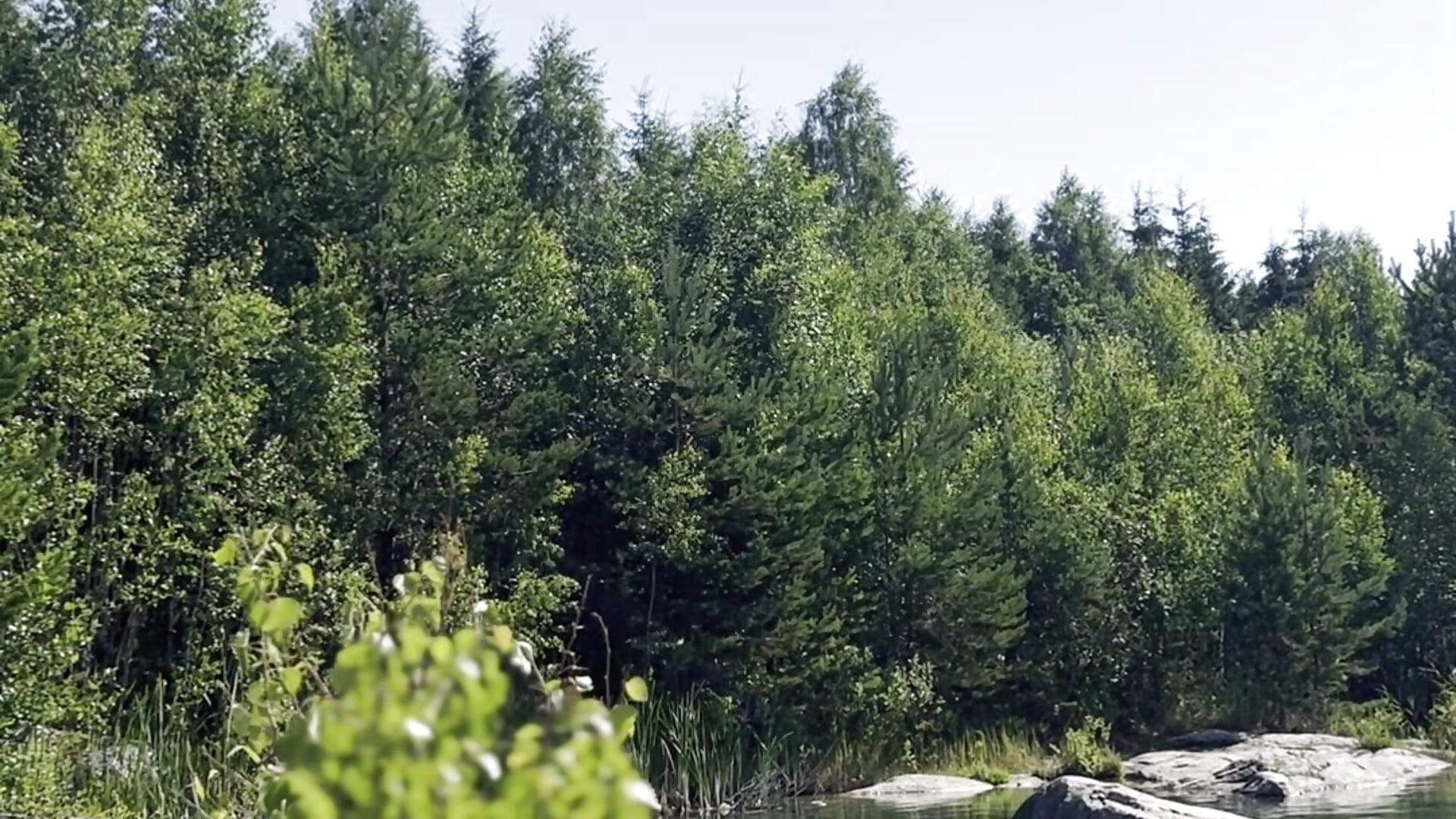 You outdoor girl - video by TheNaturalistX cam model