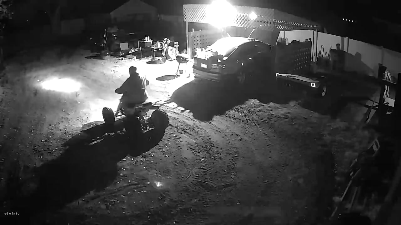 Wheelie time - video by Tiggitytomociti cam model