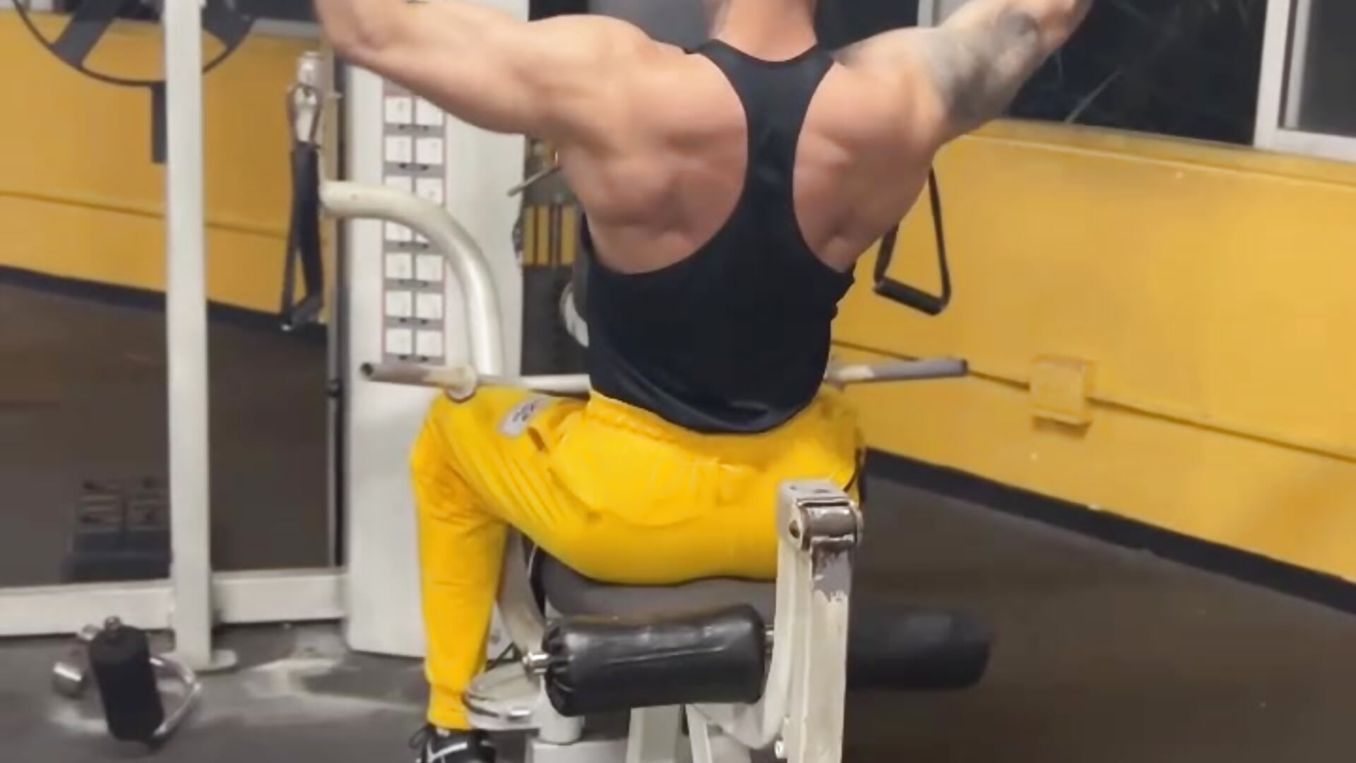 Back day－カメラキャストのandrea_de_lucaaの動画