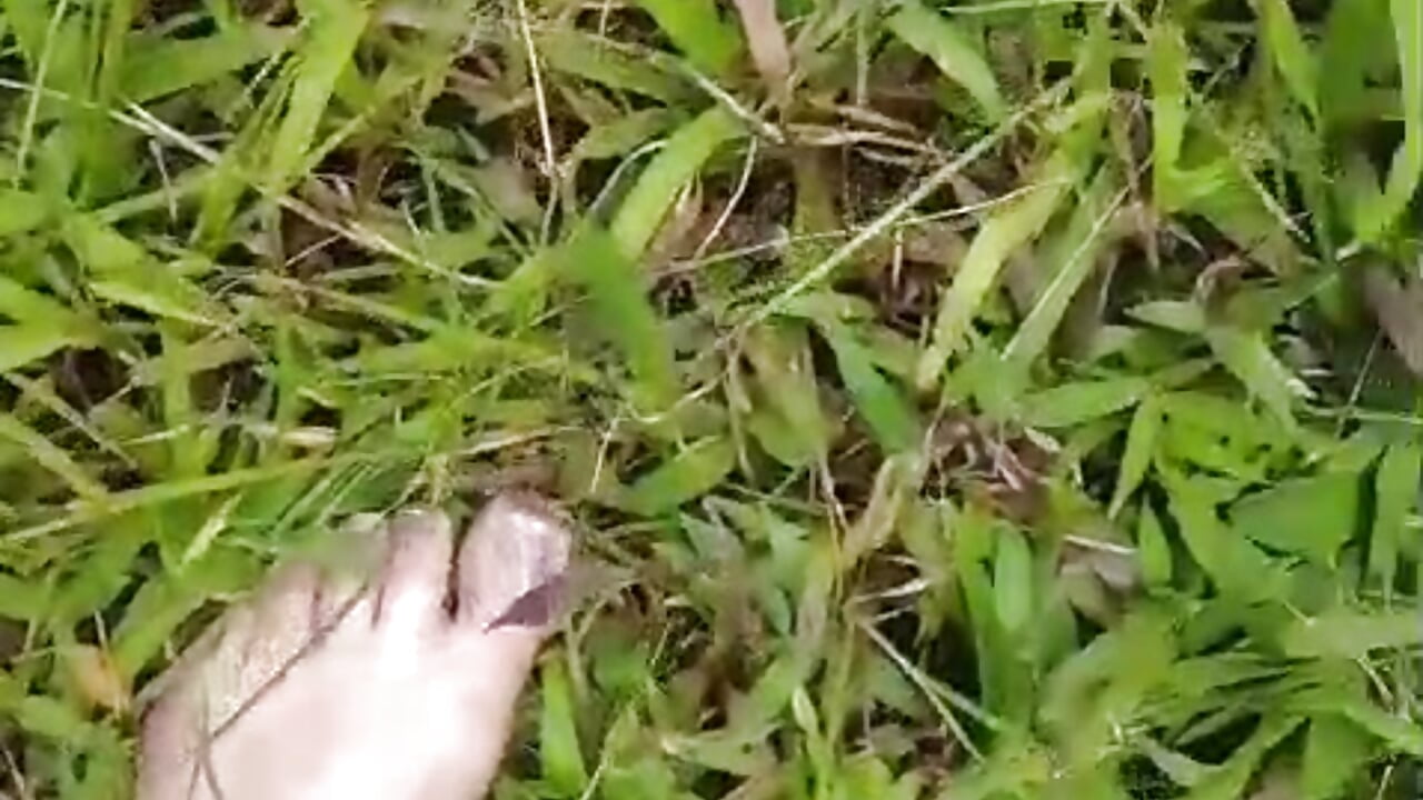 1000212994 - video van EcologicCurdling cam-model