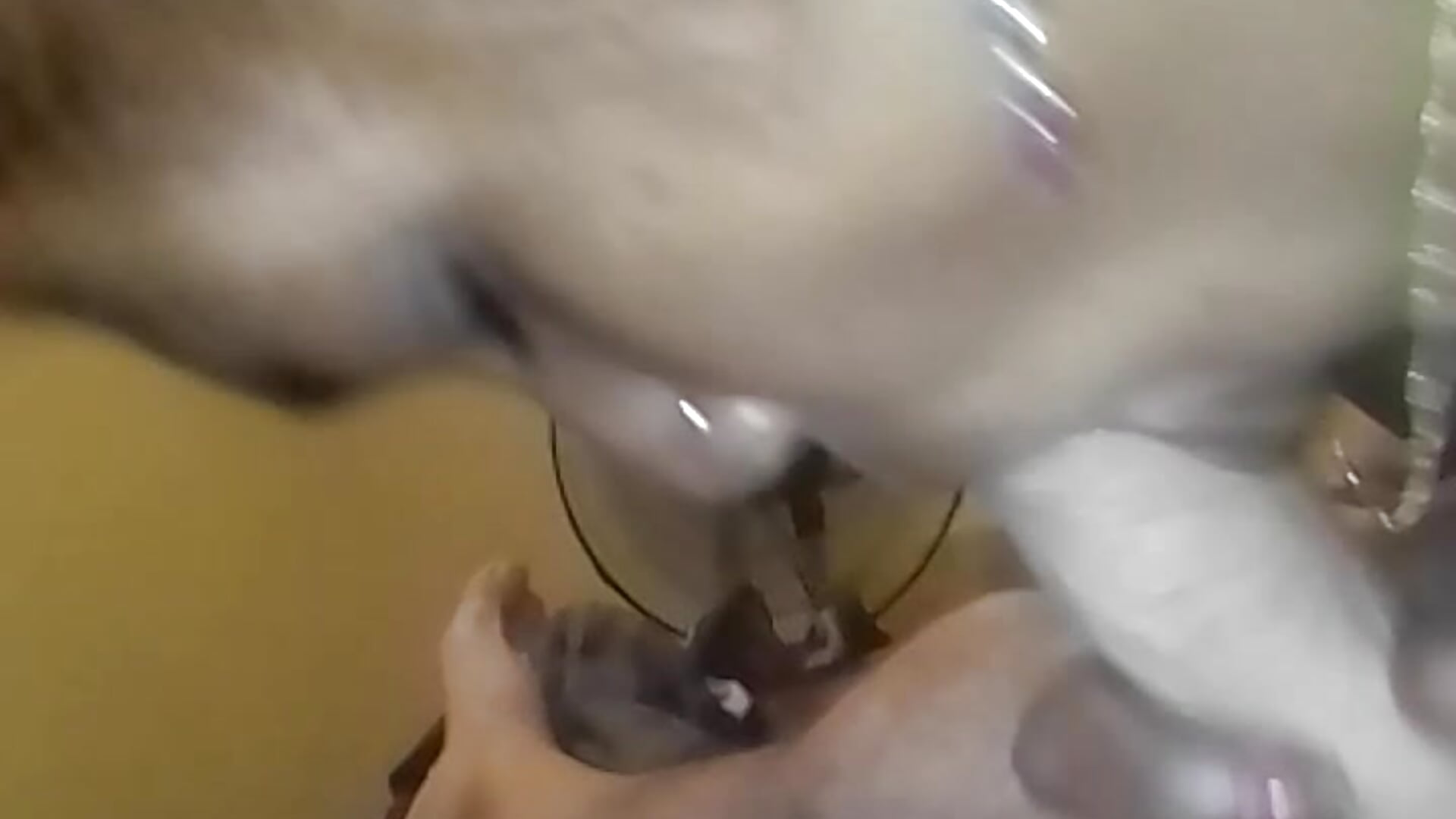 suck and cum