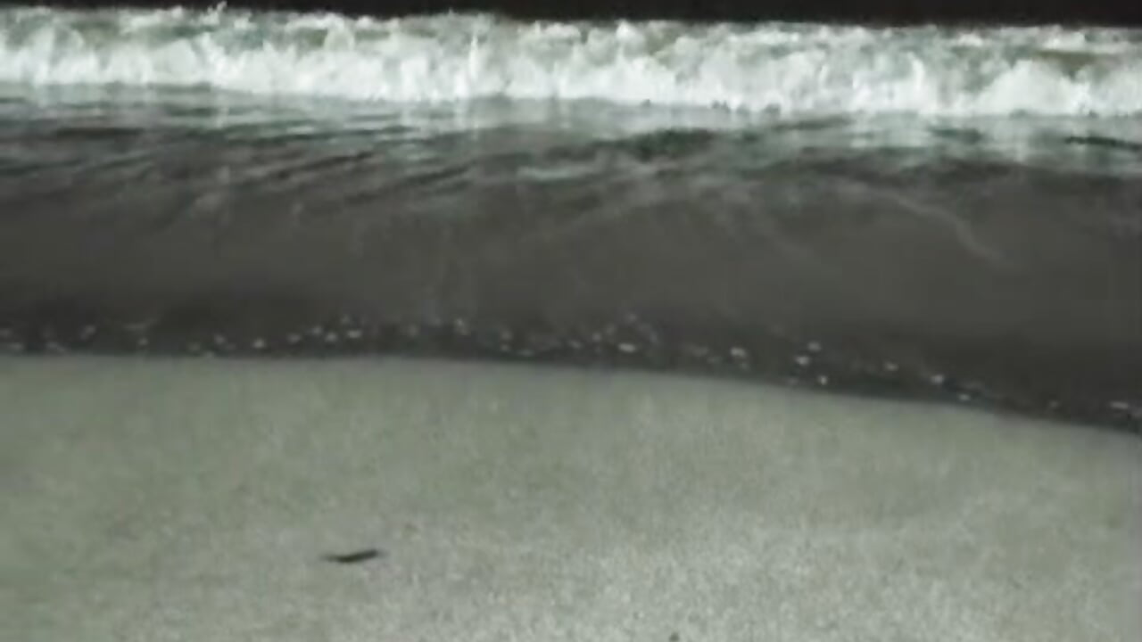 My feet on the beach - video by Sexxyy_Couple_ cam model