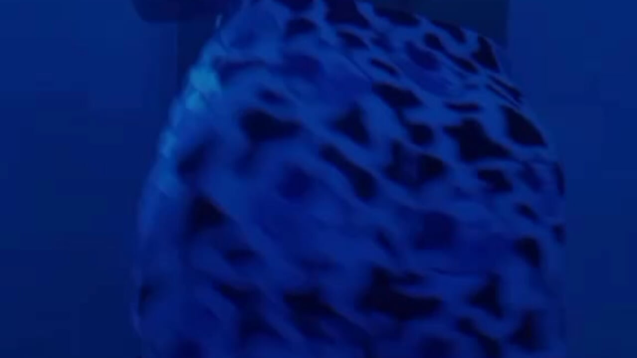 Latina - video Artemisallanos35 kameramallilta