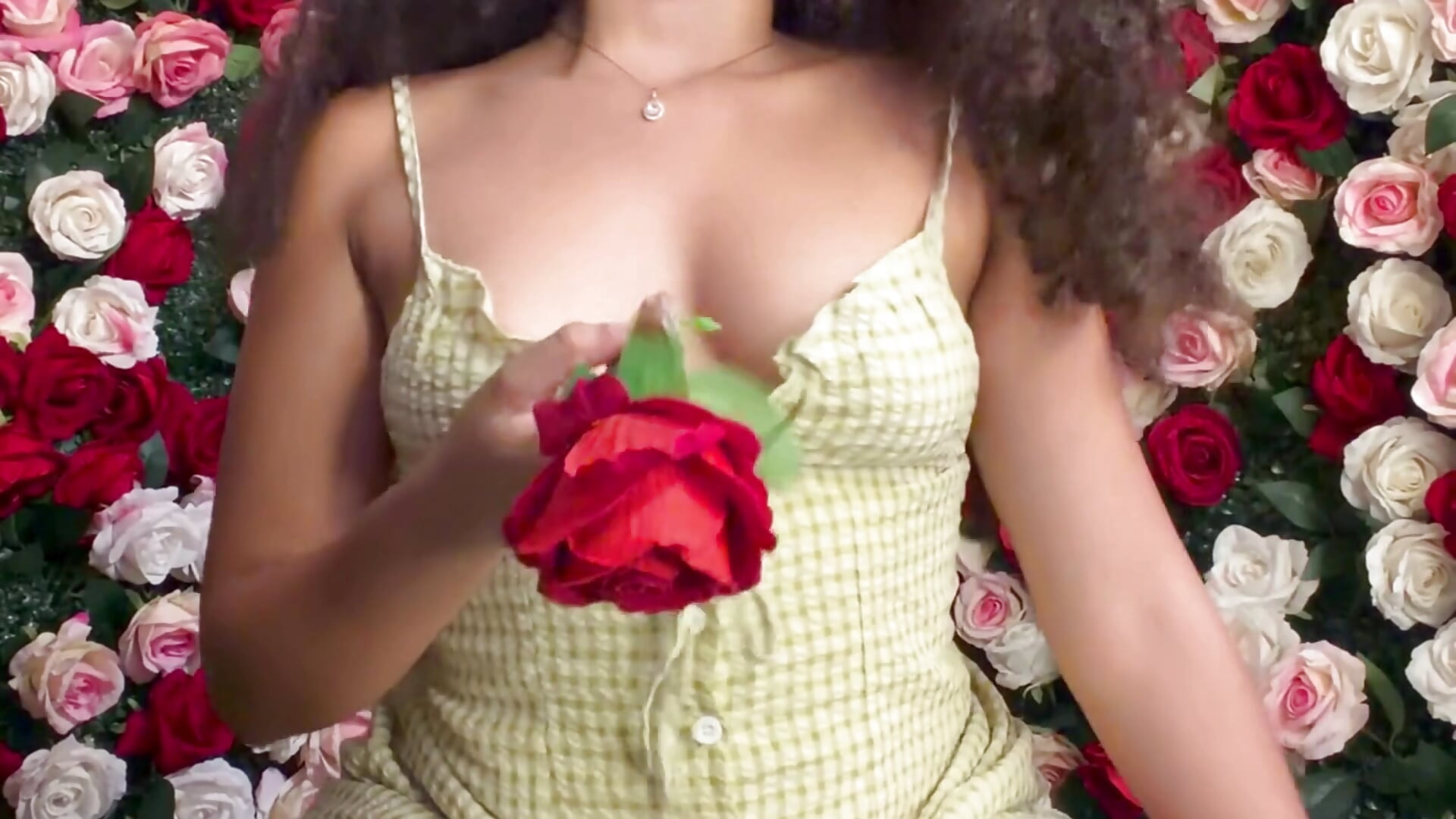 Rose petals body