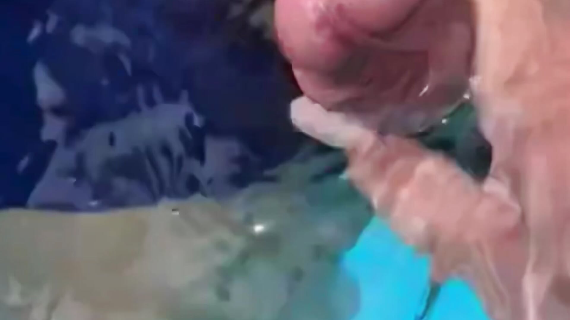 Searching for a stranger's penis in the swimming pool.