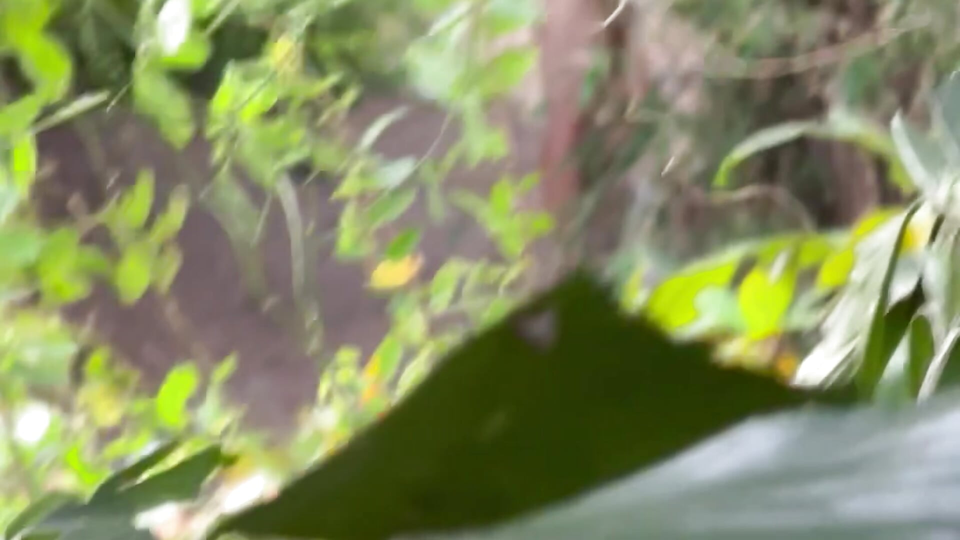 Outdoor pax 3 - video anhkiet_huang kameramallilta