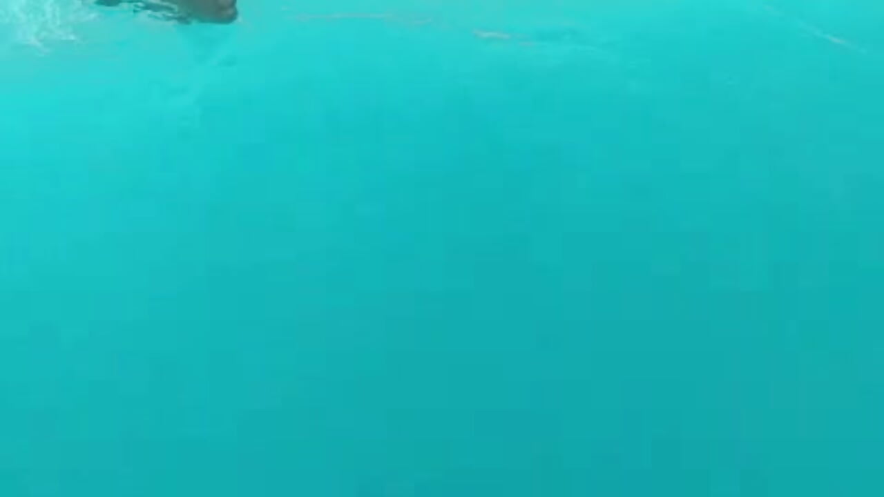 Let's swim together - video by CuteDarkChoc cam model