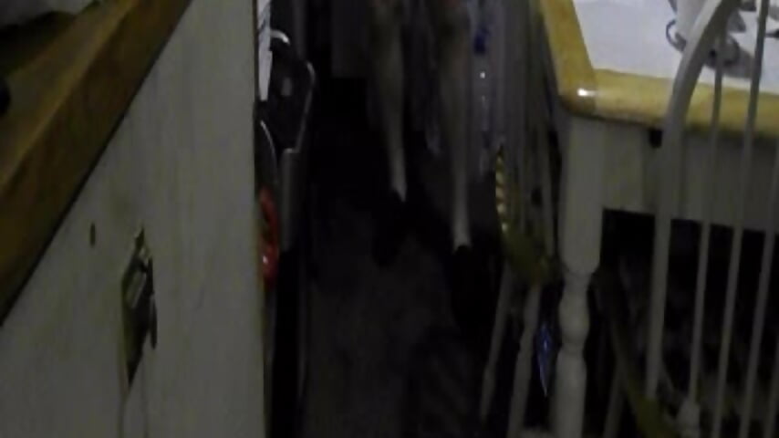 loin cloth dance - video av georgeww62 cam-modell