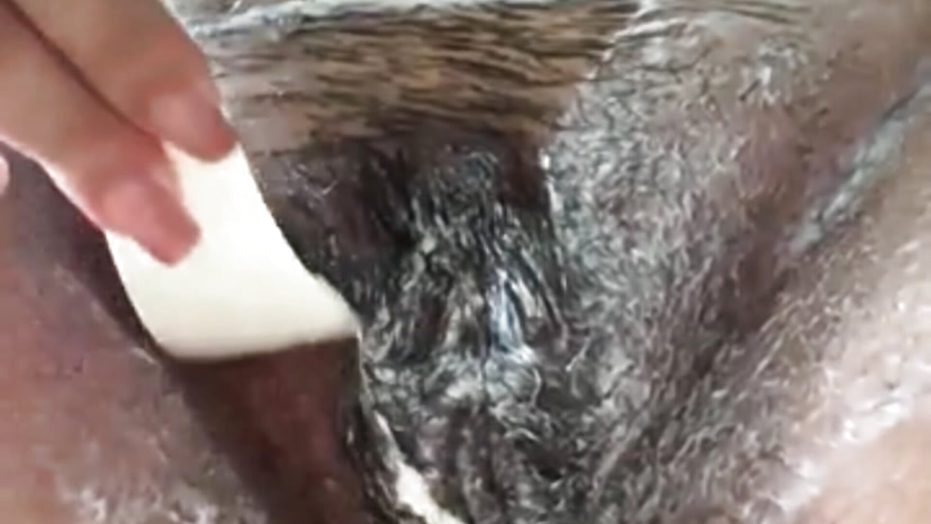 The shaving process