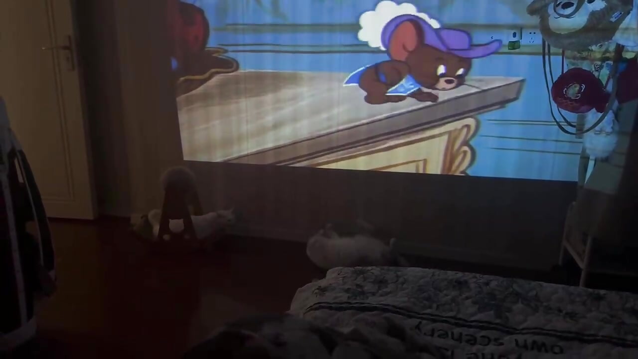 小盆友在看电视嘻嘻 - Scarlett-oracle主播的视频