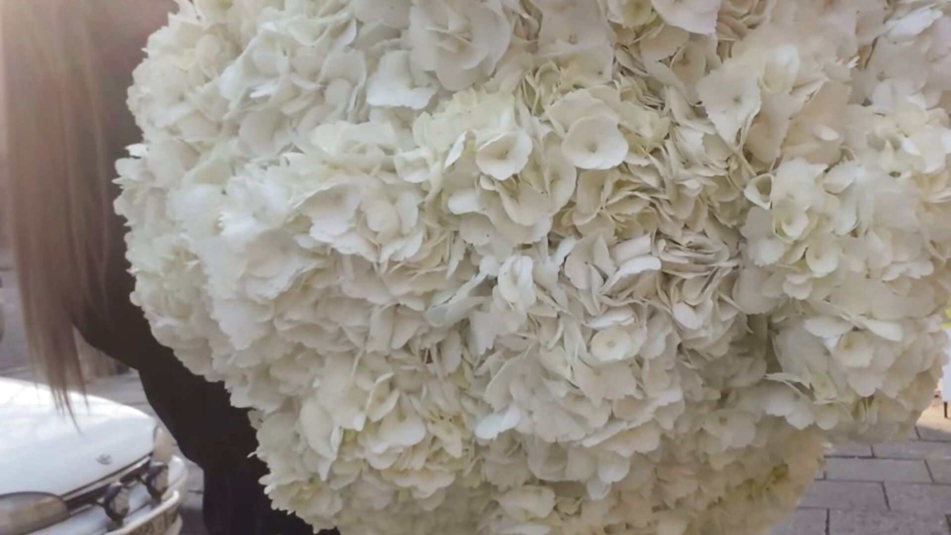 💖🌸 - video by MilanaMoons cam model