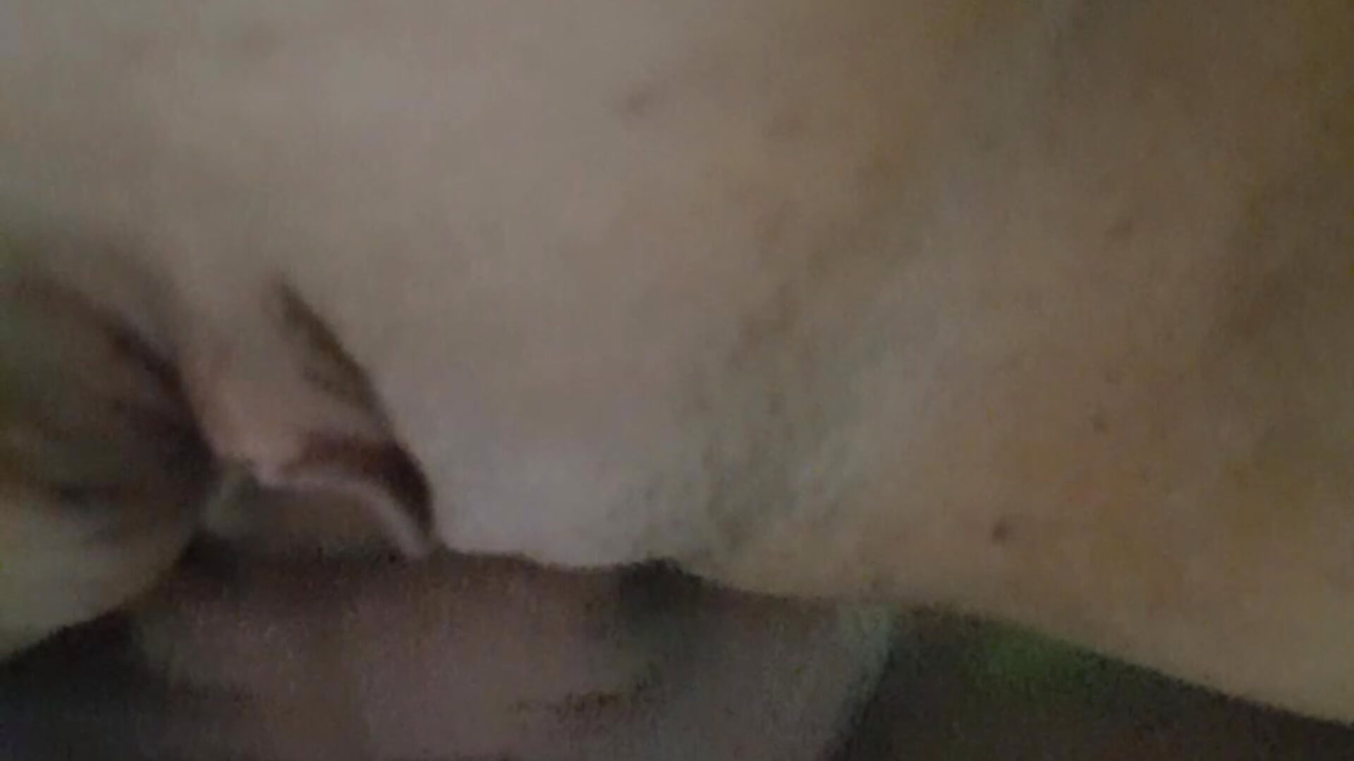 Close-up sex from below in doggy style - video by Natalia2504 cam model